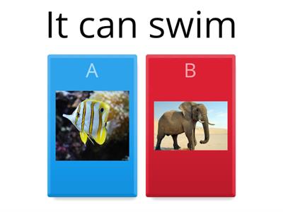 It.-CAN / CANT ANIMALS