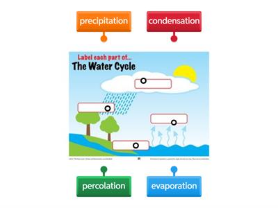 water cycle