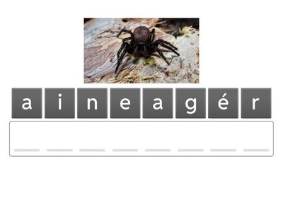 Ecole et Cinéma Film Microcosmos