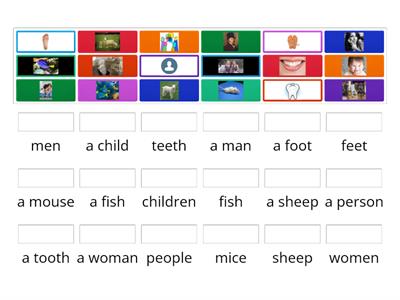 Irregular Plurals match Round Up Starter