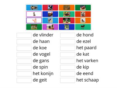 Nederlands Dieren