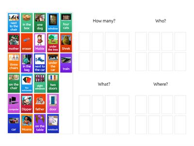 How many who what where