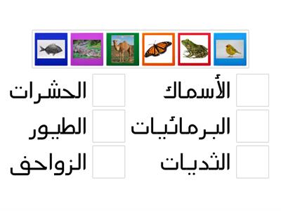 مجموعات الحيوانات( الصف الأول)