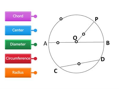 Parts of a Circle