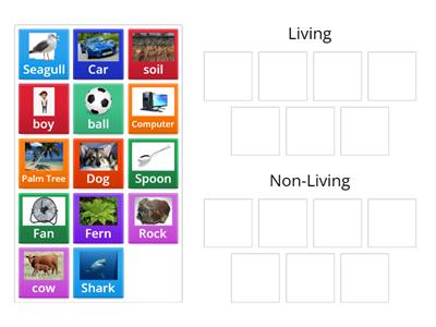  Science Living Things