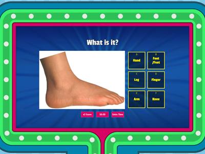 Go far 1. Unit 5. Body