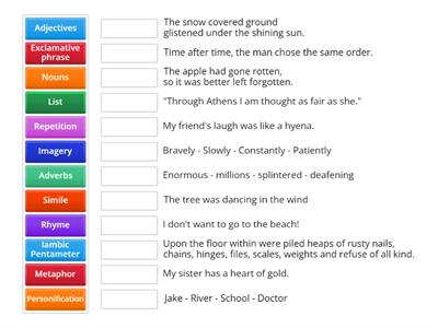 Literary Techniques and Examples