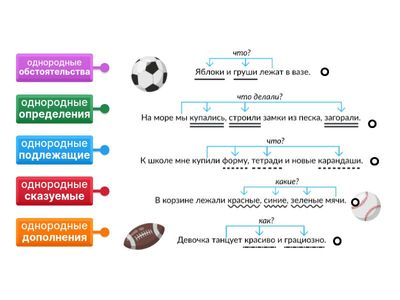 Однородные члены предложения