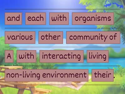 What is an ecosystem?