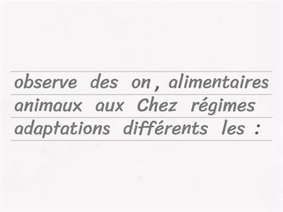 Les régimes alimentaires des animaux