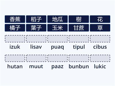 卓群初級認證-9植(食)物/水果
