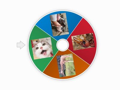 動物小遊戲轉盤，三年班，自A，李肇熙