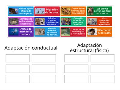 Adaptaciones de los seres vivos