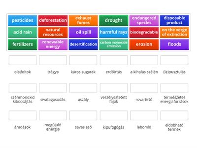 Environment - vocabulary