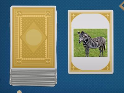 Trò chơi: Nhận biết tên vật thể