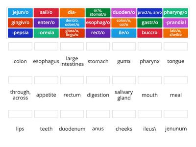 Chap. 6 Med terms