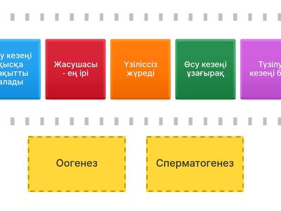 Сперматогенез бен оогенез 