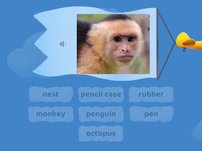  Starter   Mm Nn Oo Pp/ Is it a pencil? Find the match SK