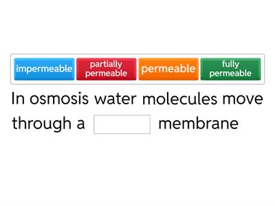 IGCSE Osmosis missing word