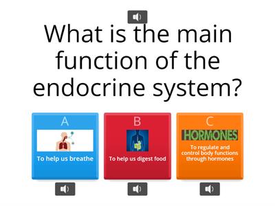 The Endocrine System