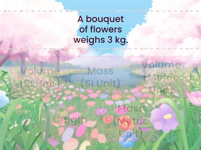 Ex. of Mass/Length/Volume