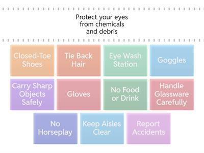 Lab Safety Word Wall