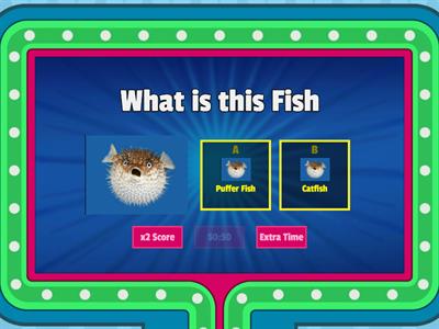 The most Werid Word Wall Quiz Ever