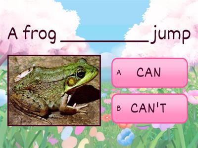 CAN AND CANT- ANIMALS