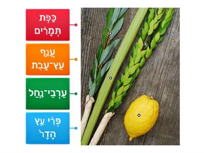 Arbah Minim from the Pasuk (Esrog, Lulav, Hadasim, Aravos)