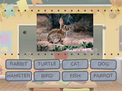  FIND THE MATCH 2nd grade