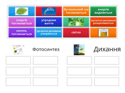 Дихання організмів.