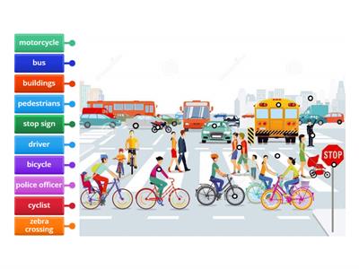 Street Safety Rules Vocabulary