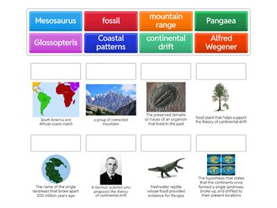 Review Evidence of Continental Drift