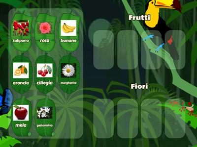 il mondo dei frutti e dei fiori