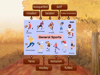 Labeled Diagram SPorts