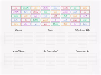 Sort the words into their syllable type.