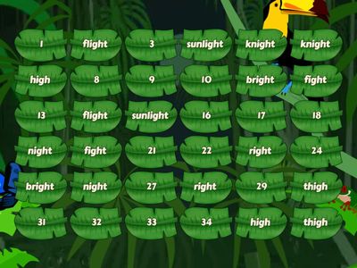 SS1 L35 IGH IGHT Matching Pairs