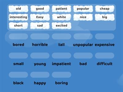 opposites English Plus 1