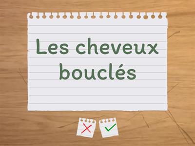 Les cheveux - la texture