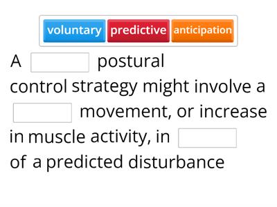 Postural Control Strategies