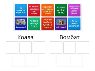 Вомбат и Коала