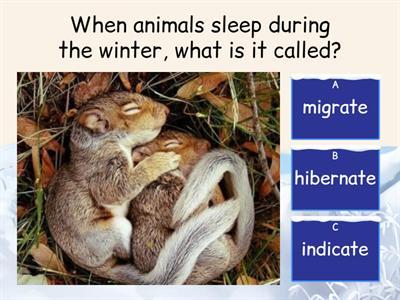 Trivia Winter TEENS/ADULTS #my_teaching_stuff