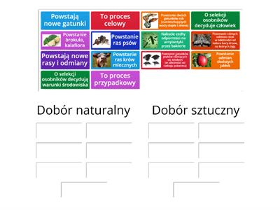 Mechanizmy ewolucji - dobór naturalny czy sztuczny