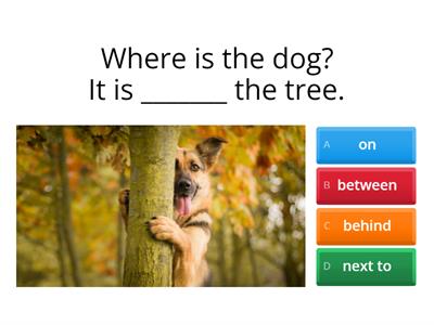 Juniors 2 - In front of / behind / between / next to