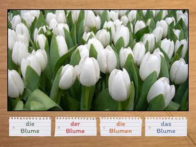 немецкая школа (Льоши)