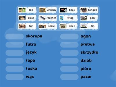 Together Unit 5 - Animals: parts of the body