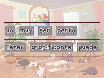 Ordena las frases sobre las mascotas. 