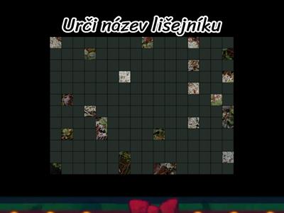 Lišejníky- poznávačka