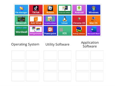 Operating Systems, Utility Software, Applications