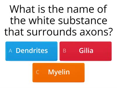 Neuron quiz